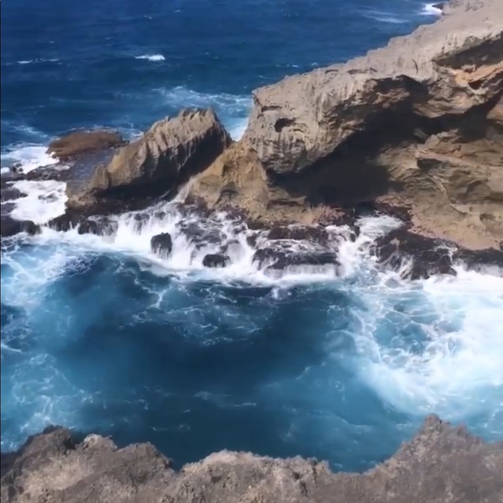 Meet your Posher, Denise